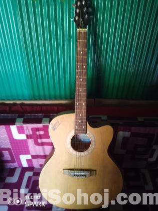 Signature guitar